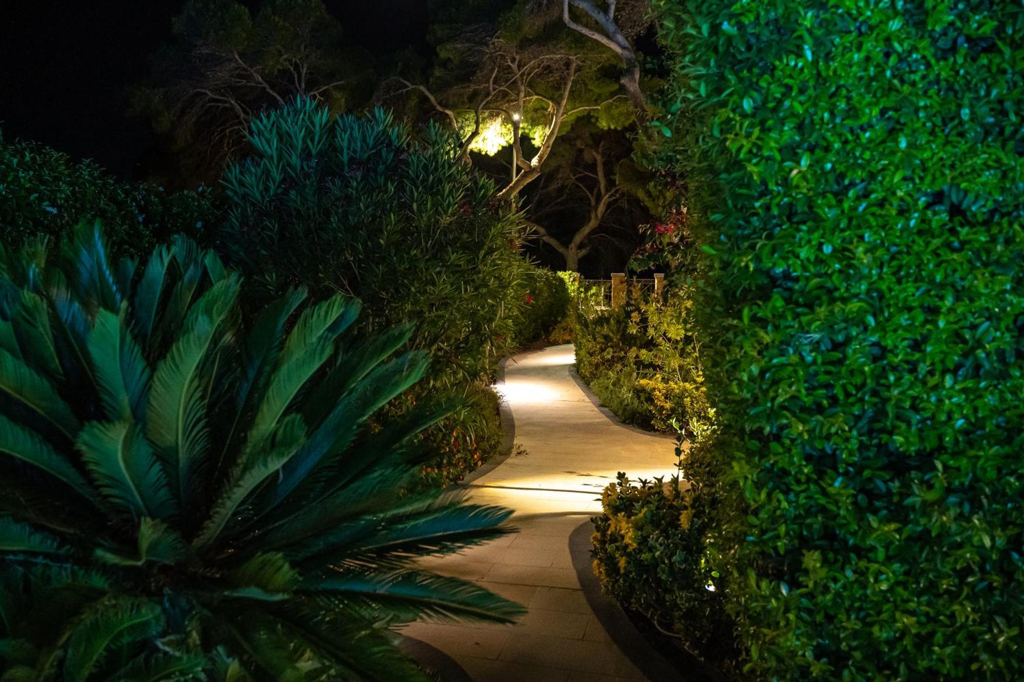 Villa Fenicottero - Exclusive Private Villa With Pool ポルト・ピノ エクステリア 写真